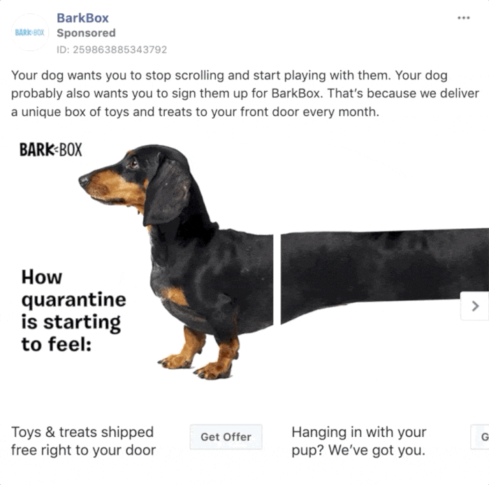 facebook advertising
